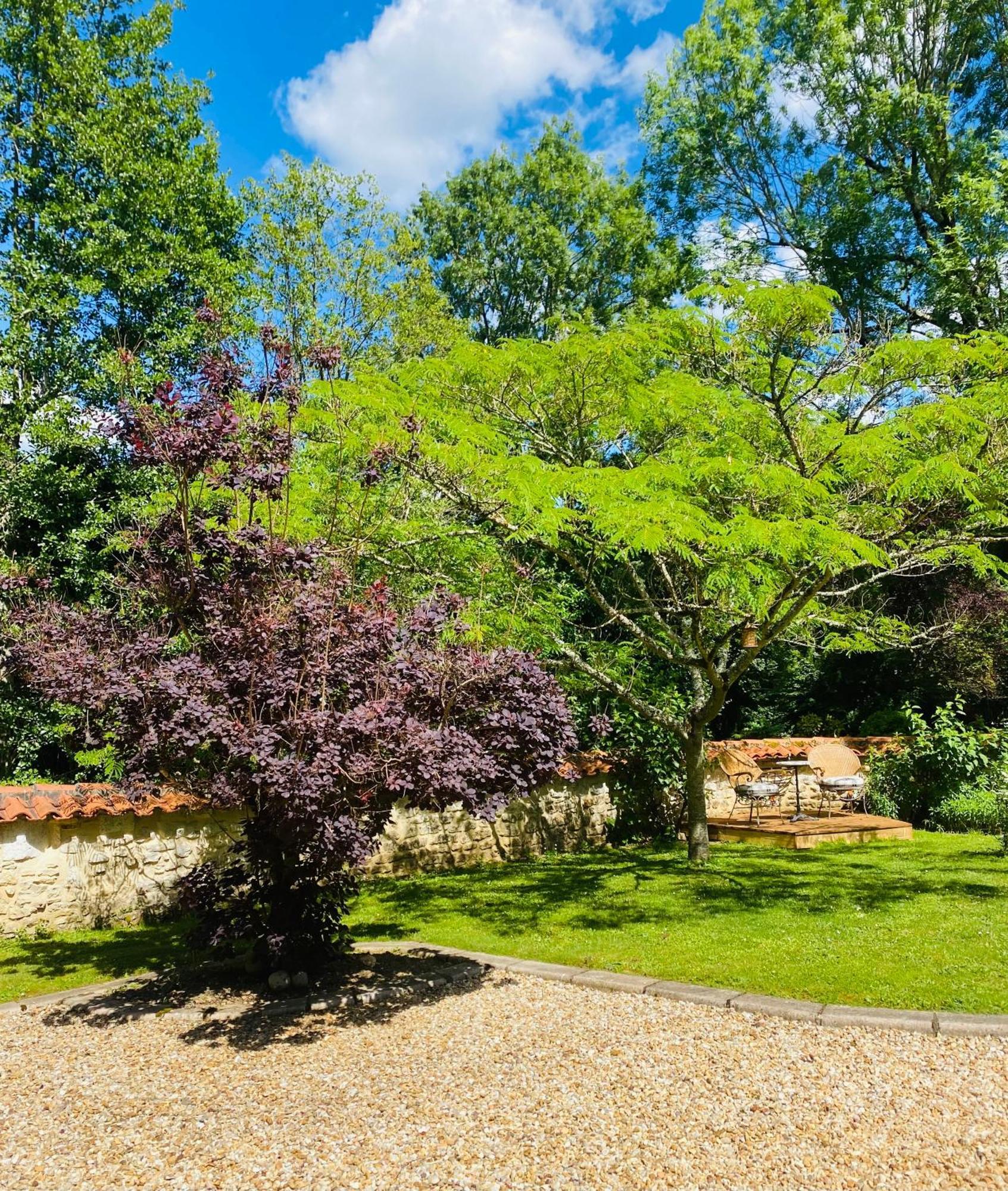 Bed and Breakfast Moulin Du Fontcourt Chasseneuil-sur-Bonnieure Экстерьер фото