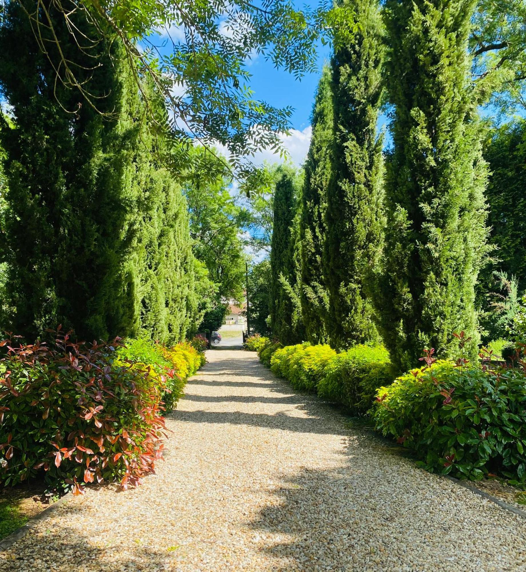 Bed and Breakfast Moulin Du Fontcourt Chasseneuil-sur-Bonnieure Экстерьер фото