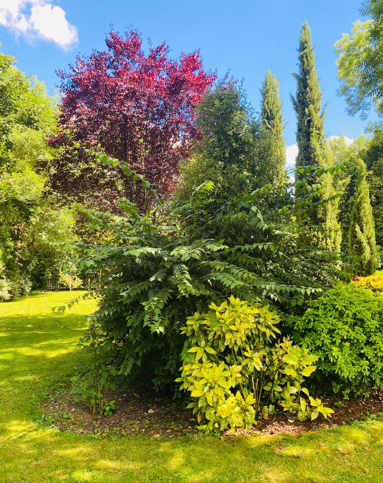 Bed and Breakfast Moulin Du Fontcourt Chasseneuil-sur-Bonnieure Экстерьер фото